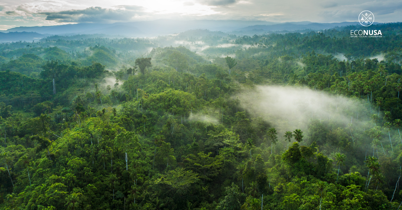 Hutan Halmahera