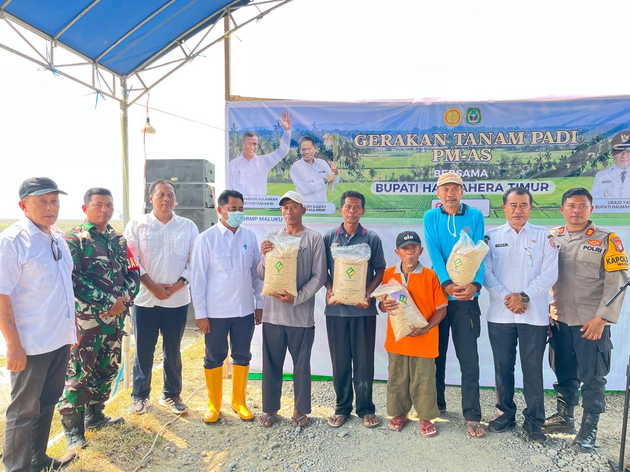Pemkab Haltim Perkuat Ketahanan Pangan, Bupati Ubaid Yakub Pimpin Gerakan Tanam Padi di Mekar Sari